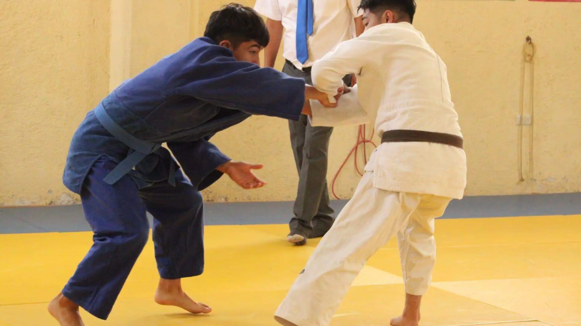 JUDO (3)